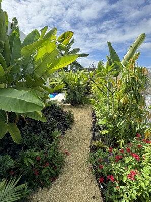 Property grounds - Modern 3BR Retreat with Private Pool & Waterfall (Humacao)