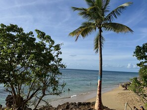 Playa en los alrededores, camastros y toallas de playa 