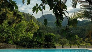 A swimming pool with a stone border, surrounded by lush greenery and mountains in the background. - QUEBRADAHONDA ESTATE (La Vega)