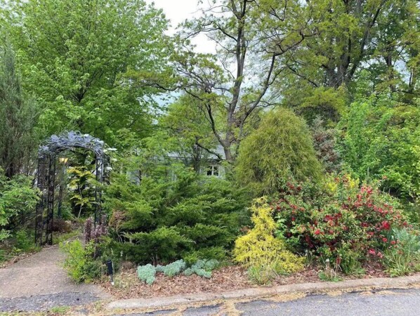 A garden with various plants and a metal structure.