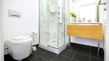 Shower, hair dryer, towels