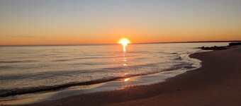 Angel's Place in the Bay, tranquil setting but close to all the fun!