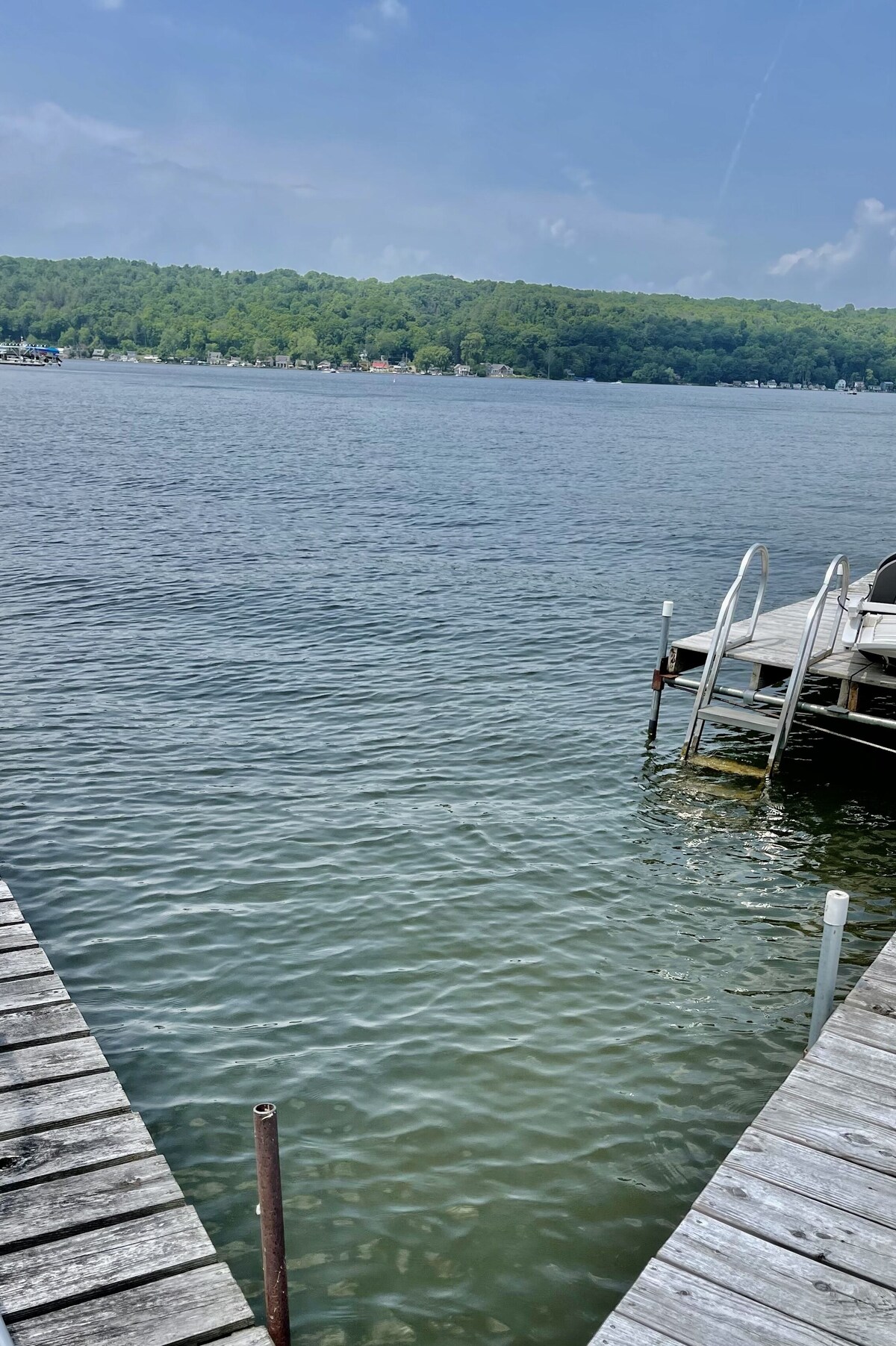 Imagen de perfil del propietario o de la propietaria