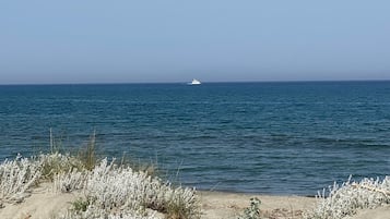 Playa en los alrededores