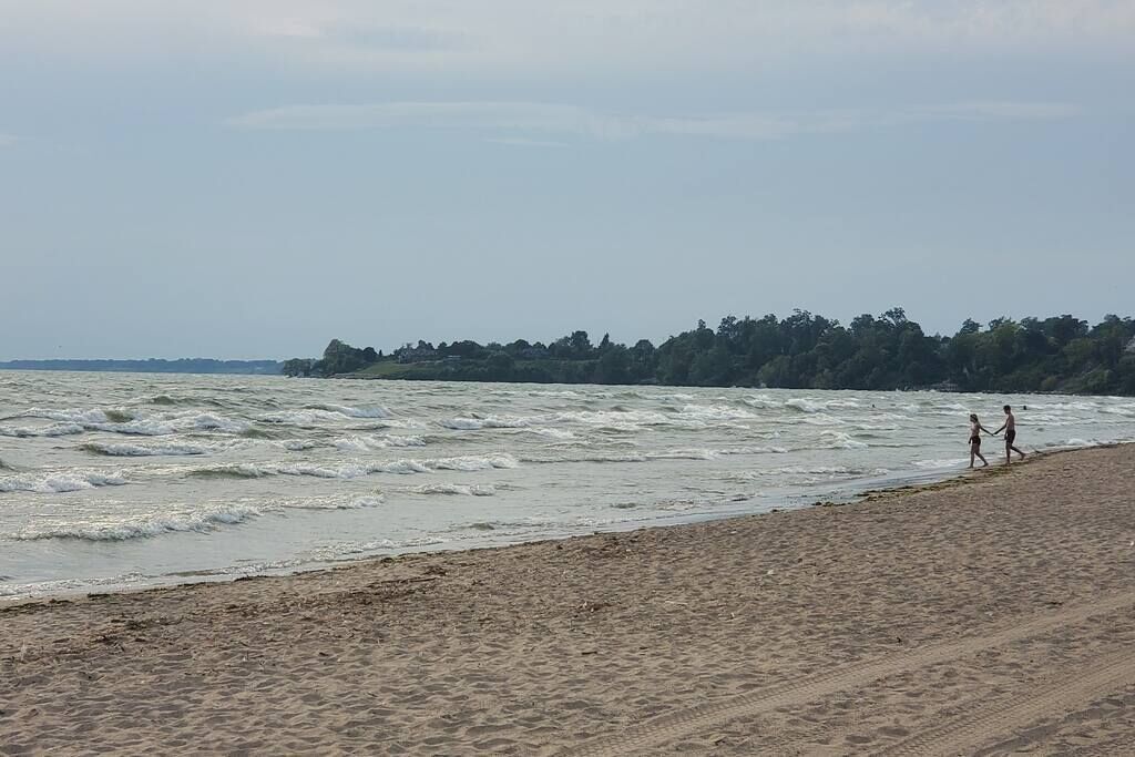 A beach with waves and a forest in the background.