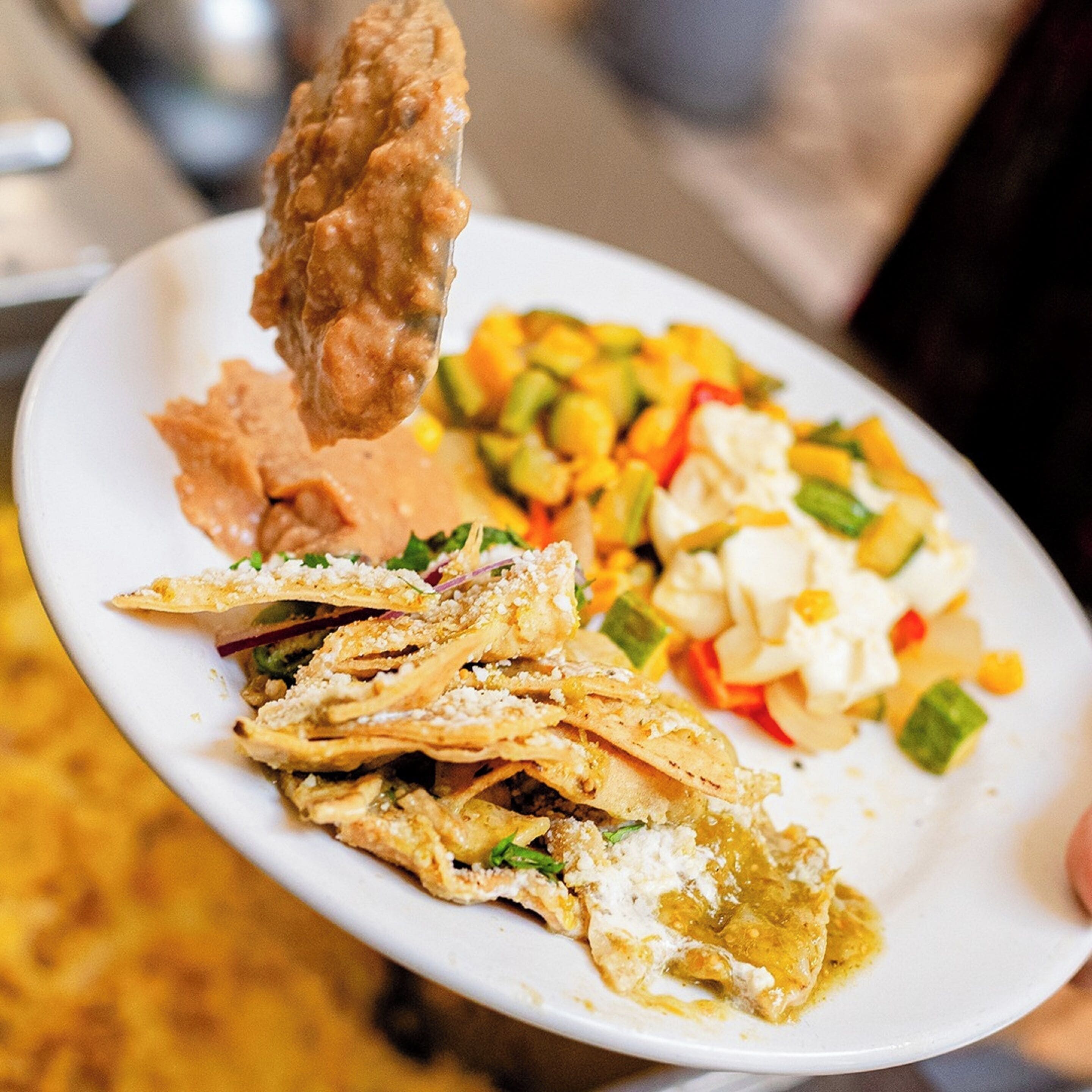 A plate with various food items including a piece of fried chicken, a salad, and some flatbread.