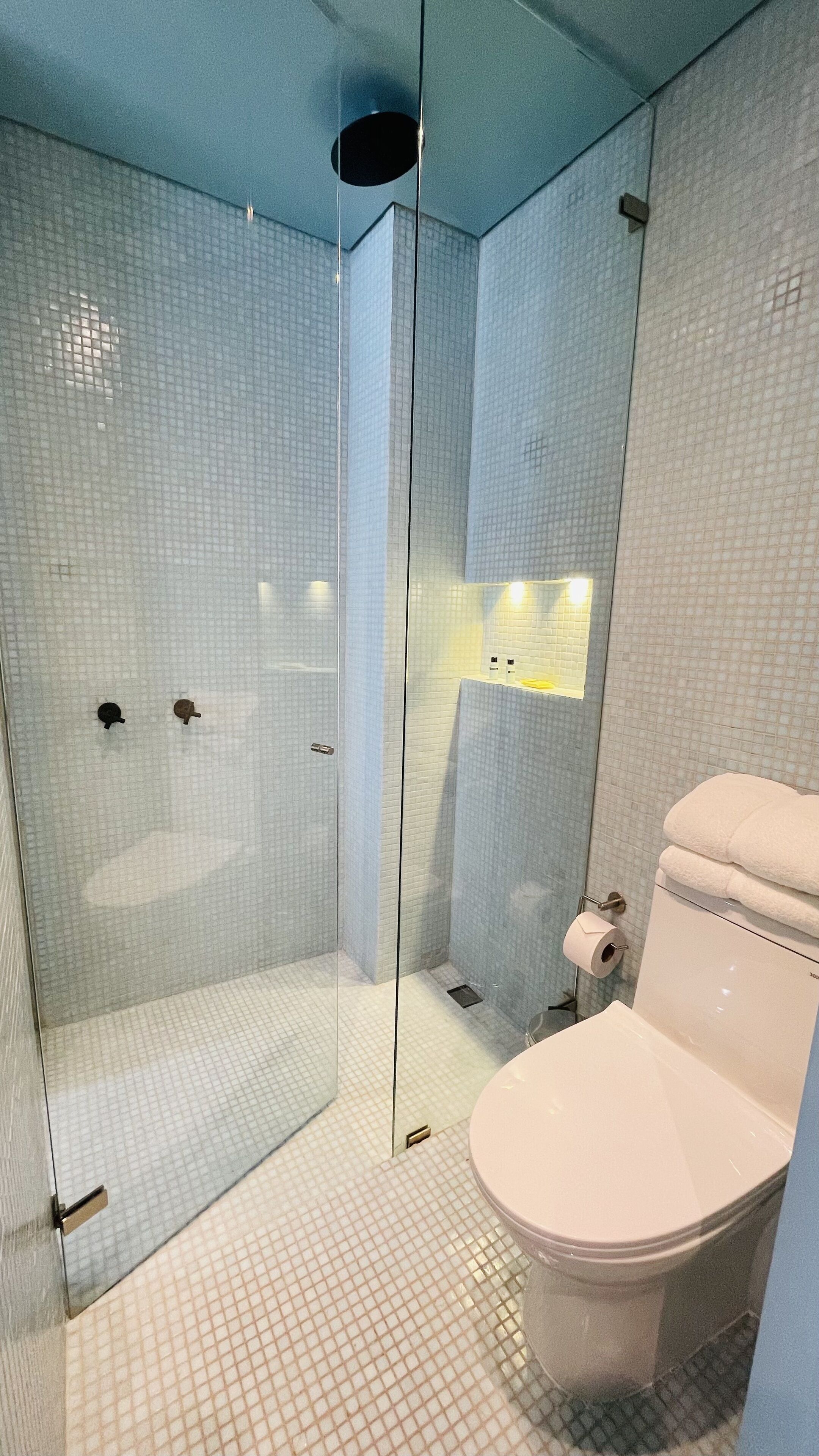 Banheiro | Chuveiro, chuveiro com efeito de chuva, toalhas de banho, sabonete