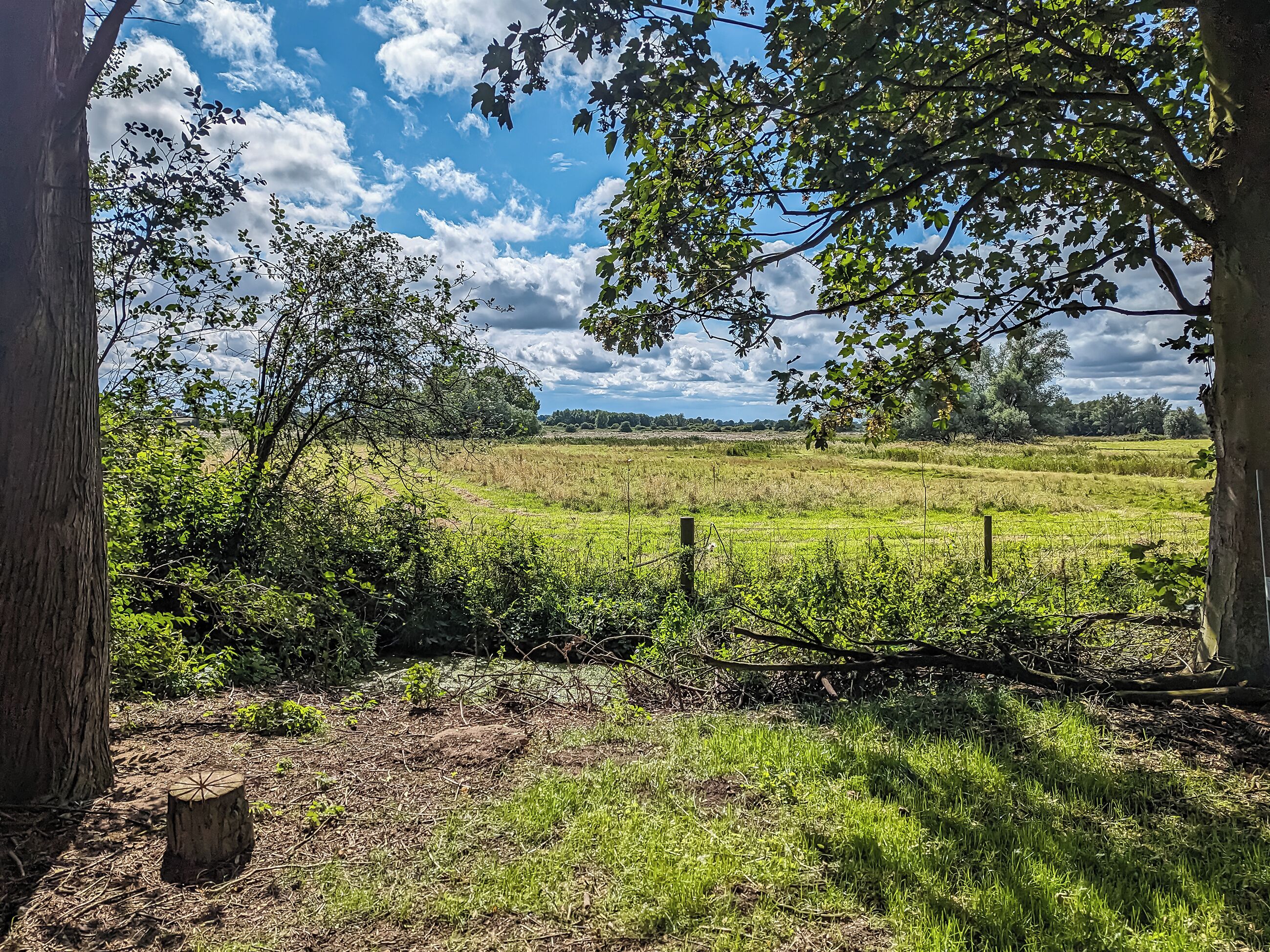 Un paisaje rural con un campo cubierto de hierba, árboles y una valla de madera.