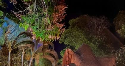 Hotel MadreSierra Parque Tayrona