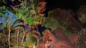 Estructura de techo de paja con una escalera que conduce a una terraza, rodeada de exuberante vegetación e iluminada con luces ambientales.