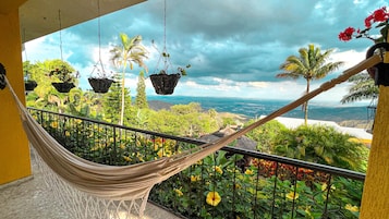 Vista desde la propiedad