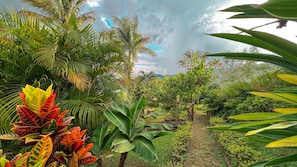 View from property - Hotel Campestre El Molino Dapa Cali (Yumbo)