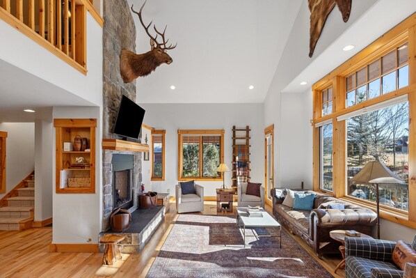 Smart TV, chimenea y libros 