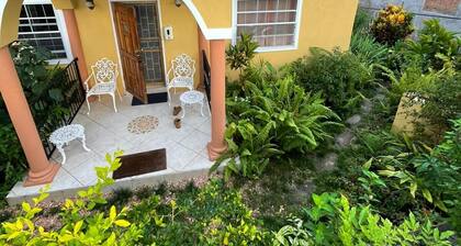 Nature lovers getaway w/AC,Wifi,King beds,jacuzzi