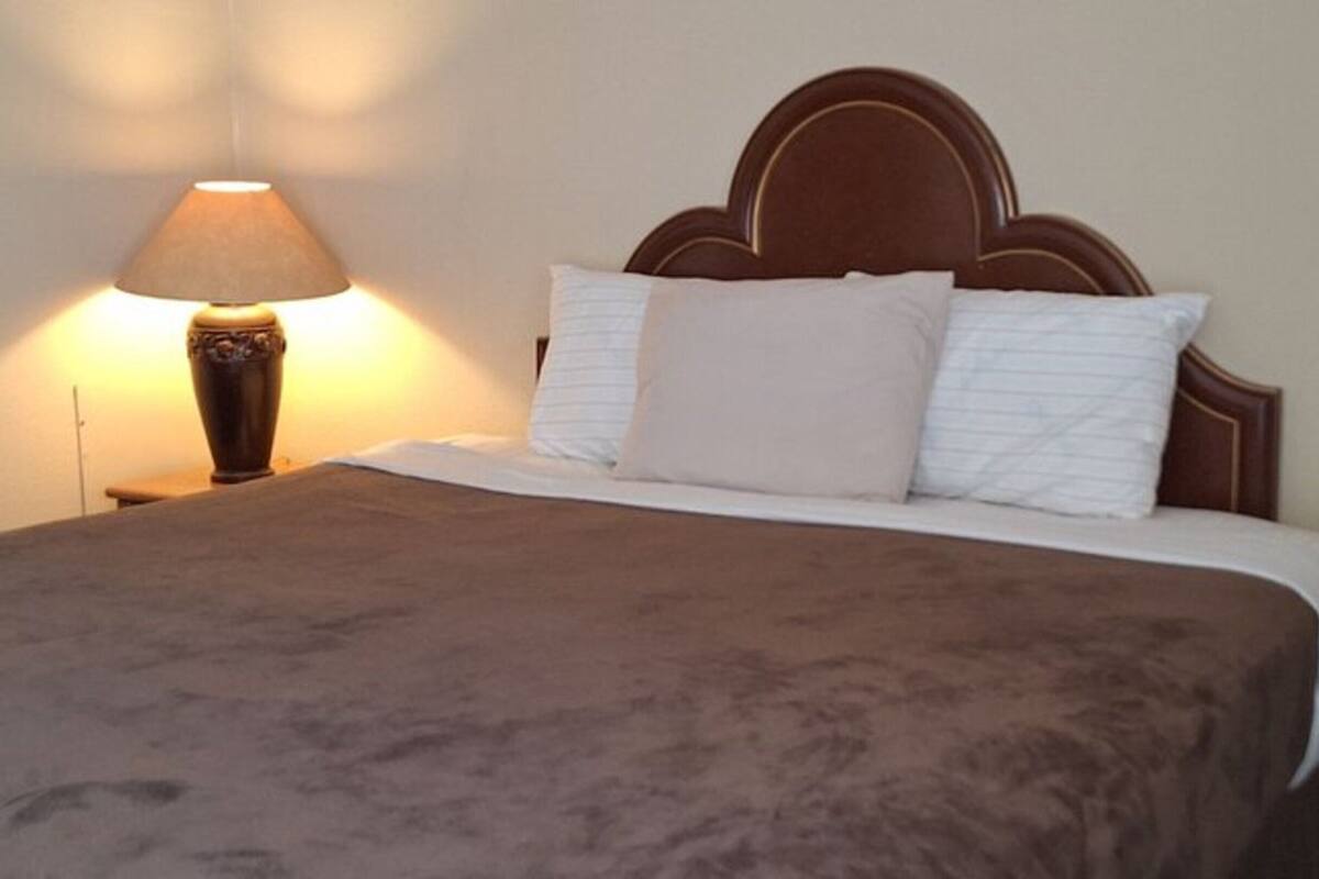 Standard Single Room, 1 Queen Bed | Desk, laptop workspace, WiFi (free), bed sheets