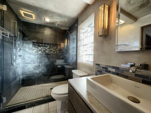 Combined shower/bathtub, hair dryer, towels, toilet paper