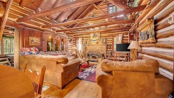 Smart TV, fireplace, video games, books