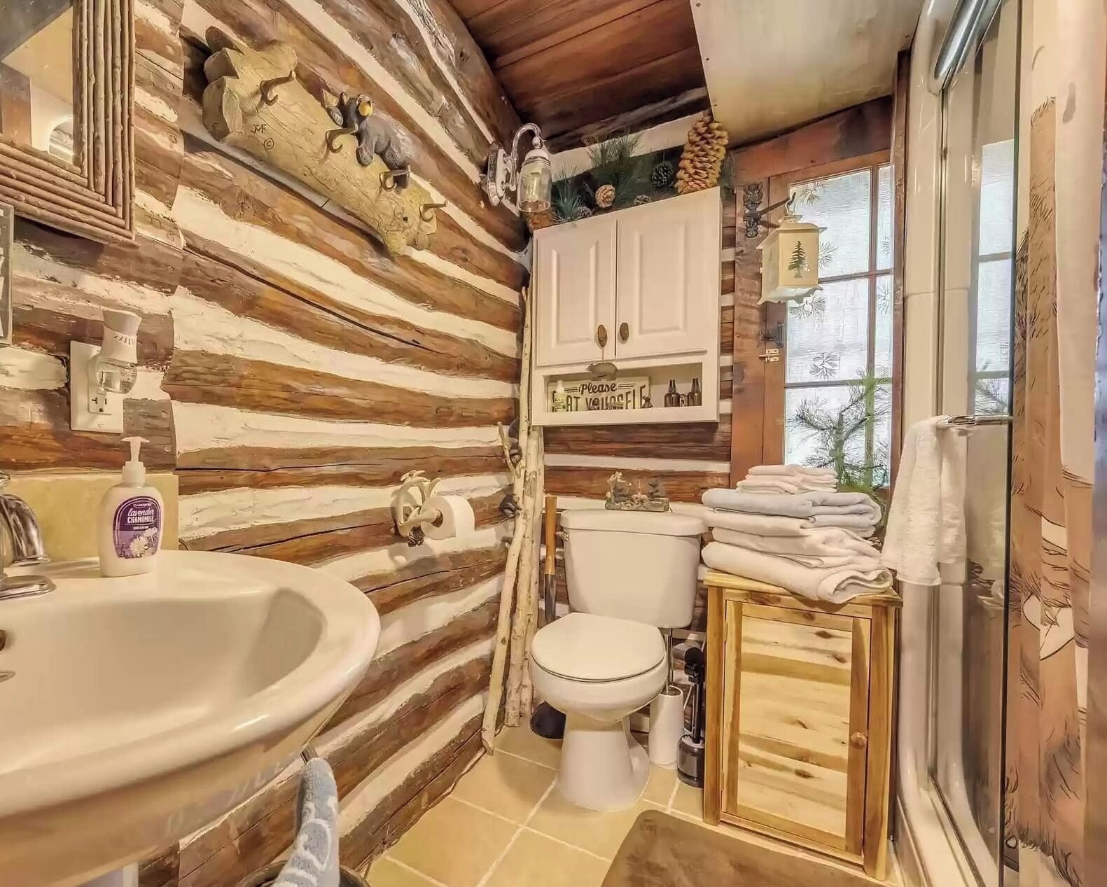 A rustic bathroom with a wooden log wall, a sink, toilet, and a cabinet with toiletries.