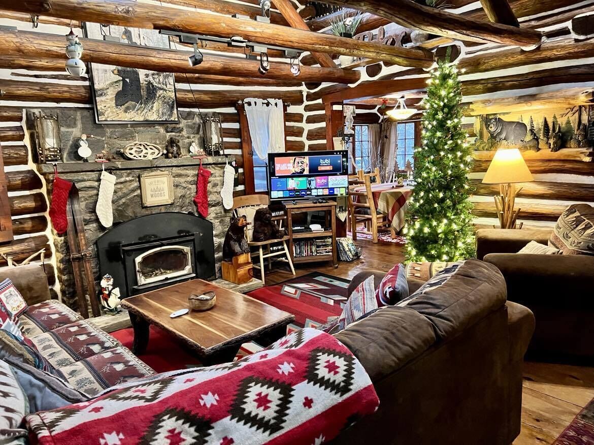 Smart TV, fireplace, video games, books