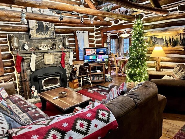 Smart TV, fireplace, video games, books