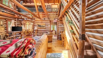 Smart TV, fireplace, video games, books