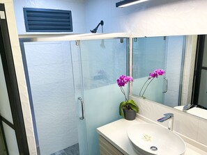 Dusche, Haartrockner, Handtücher, Seife