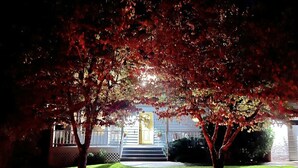 A building with a well-maintained lawn and two trees with red leaves in front.
