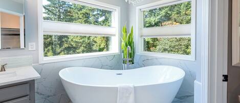Combined shower/bathtub, hair dryer, towels