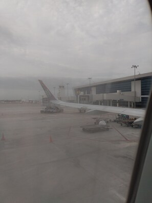 Property grounds - Neyva Department (Low Cost) Historic Center Mérida Yucatán (Mérida)