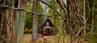 Woodland Hideaway • Cozy Cabin in the Woods, Peaceful, Charming & Pet-Friendly