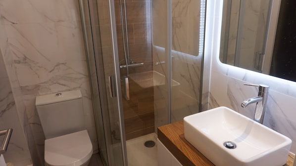 Shower, towels, toilet paper