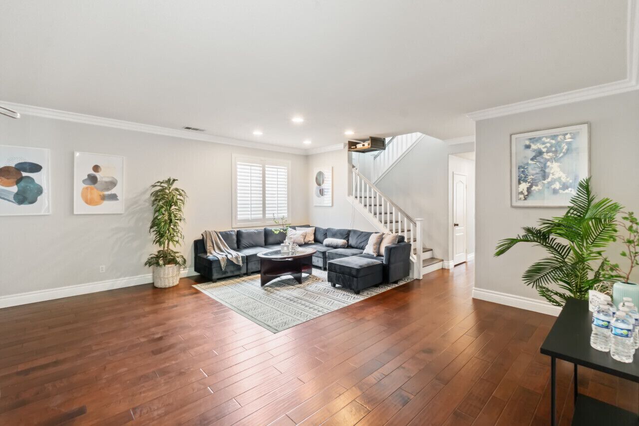 Televisión y estéreo 