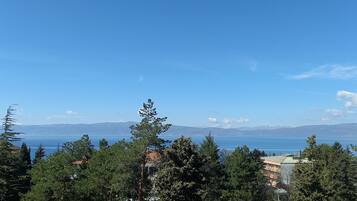 A coastal landscape with trees and buildings.