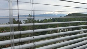 Une vue à travers les stores d’une fenêtre, donnant sur une zone boisée avec un plan d’eau et des montagnes au loin.