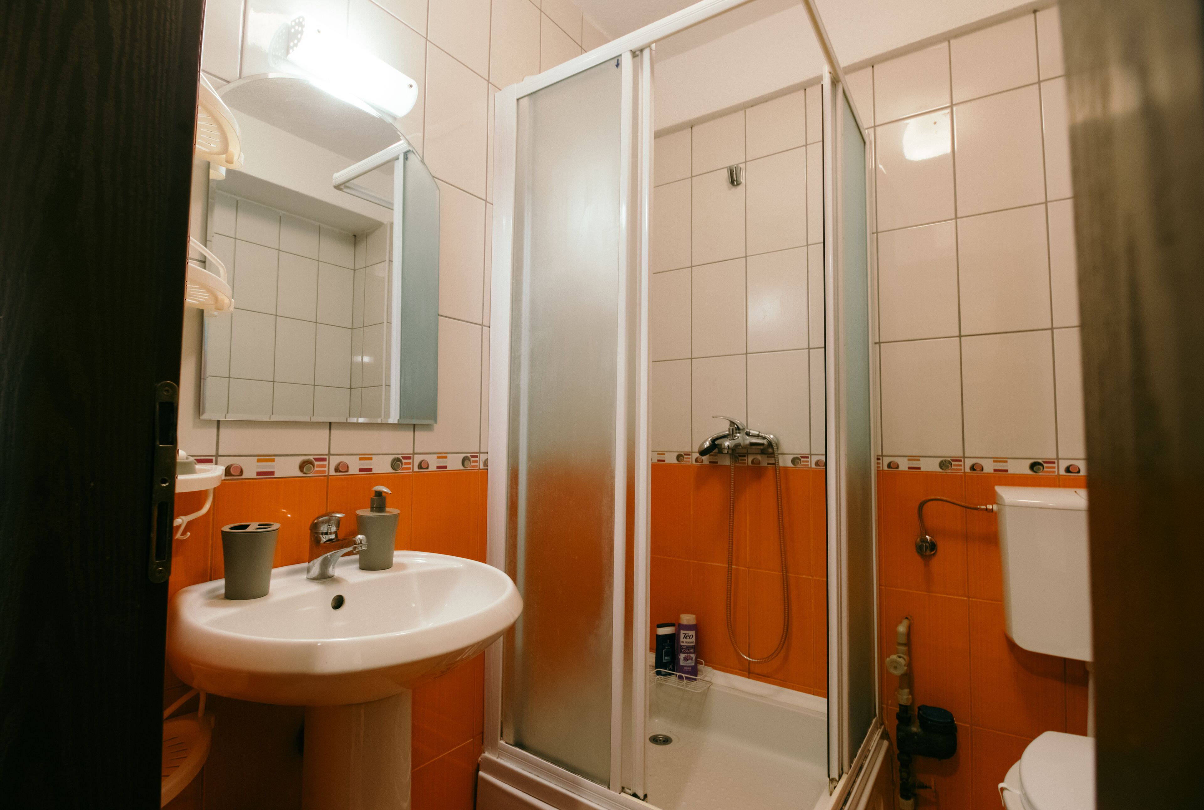 Une salle de bain équipée d’un lavabo, d’un miroir, d’une douche et de toilettes.