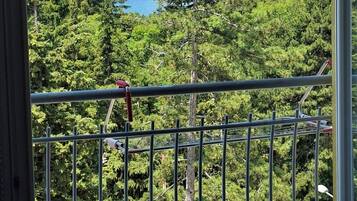 Un balcon donnant sur un paysage montagneux et un plan d’eau.