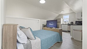 Une chambre avec un lit, une télévision, un coin cuisine et une fenêtre.