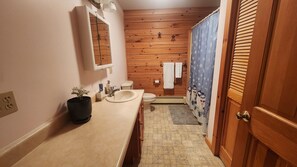A bathroom with wooden paneling, a sink, a mirror, a potted plant, and a shower curtain with a snowflake pattern.