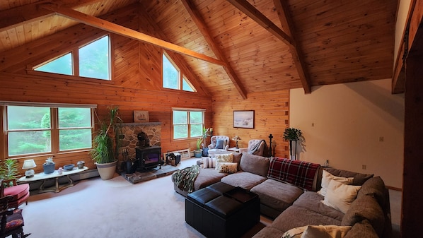 Smart TV, fireplace, books, computer monitors
