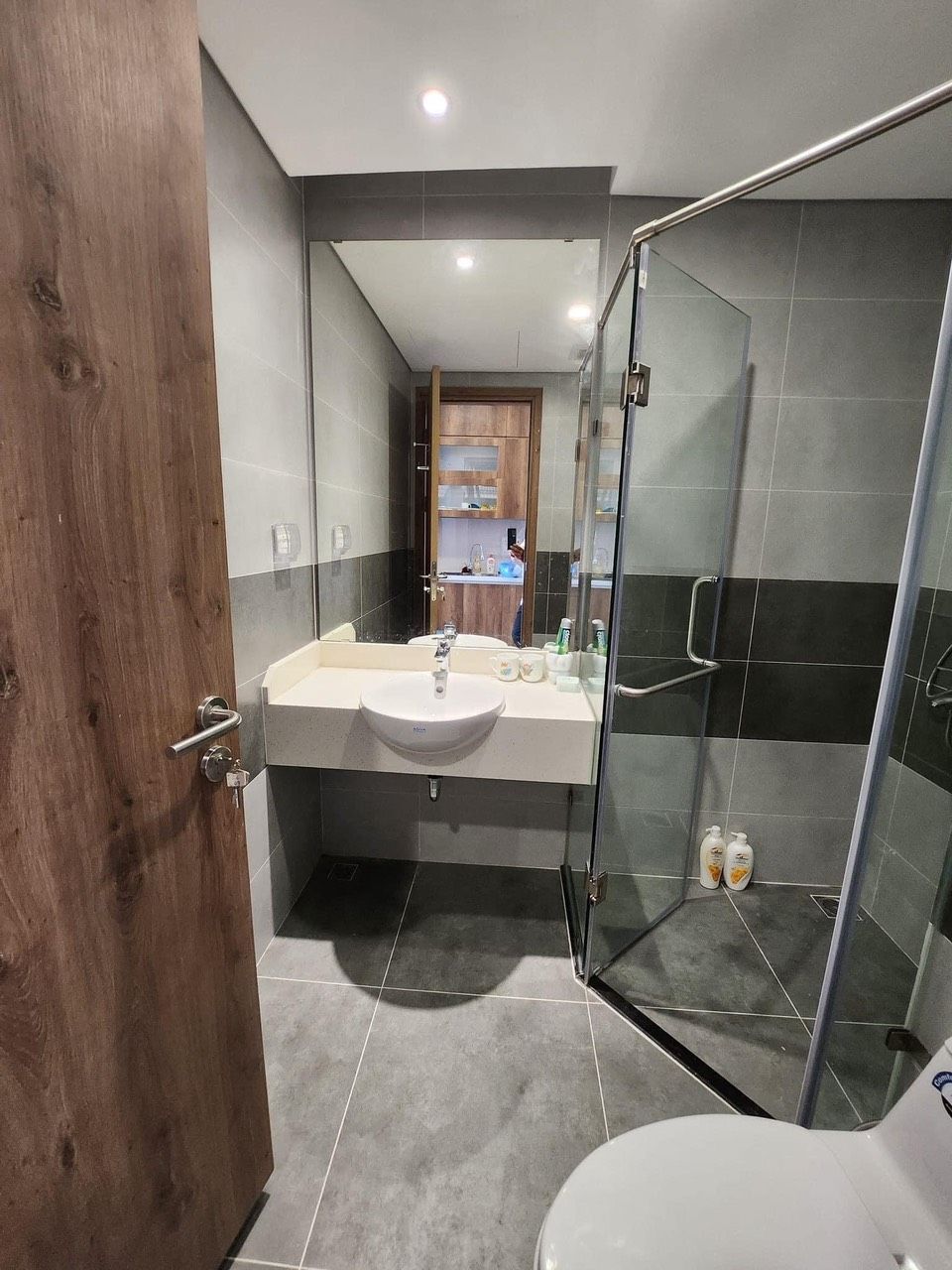 A modern bathroom with a glass shower enclosure, a sink with a mirror, and a toilet.