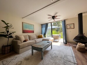 TV, fireplace, books, music library
