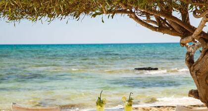 Sanders Elgio - Pleasant 2-Bdr Apt w Balcony