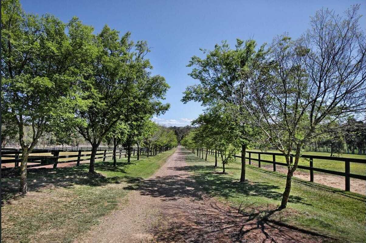 Un sentier bordé d’arbres et d’une clôture en bois, qui s’enfonce dans le lointain.