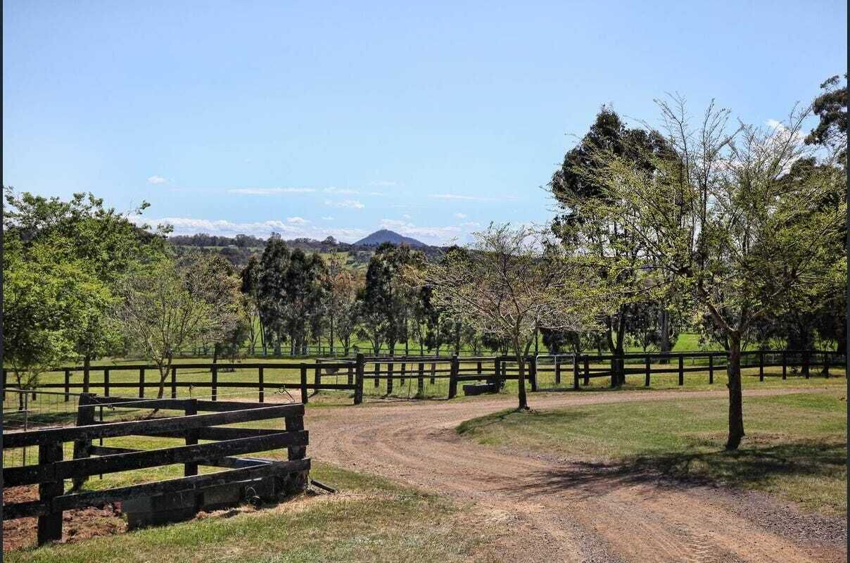 Paisaje rural con un camino de tierra, cercas de madera y árboles.