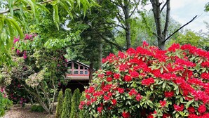 Un jardin agrémenté d’une petite construction en bois, entouré d’une végétation luxuriante et de fleurs rouge vif.