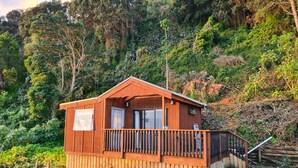 Une cabane en bois dotée d’un balcon, entourée d’une végétation luxuriante et d’arbres.