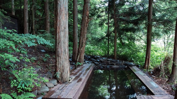 A wooden deck over a pond in a forested area with trees and ferns around. - La Terra Nagano (Shiojiri)