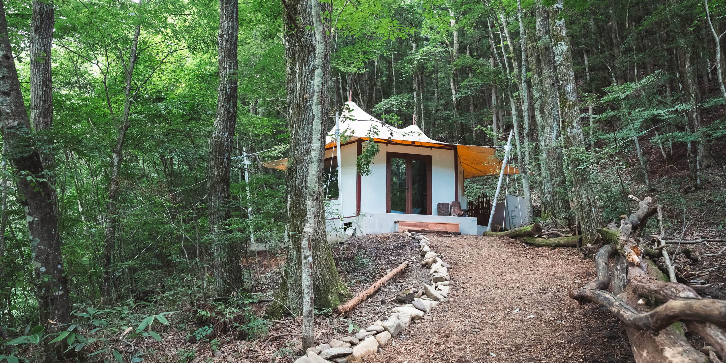 A cabin in a forest with a dirt path leading to it.