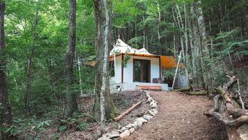 A cabin in a forest with a dirt path leading to it.
