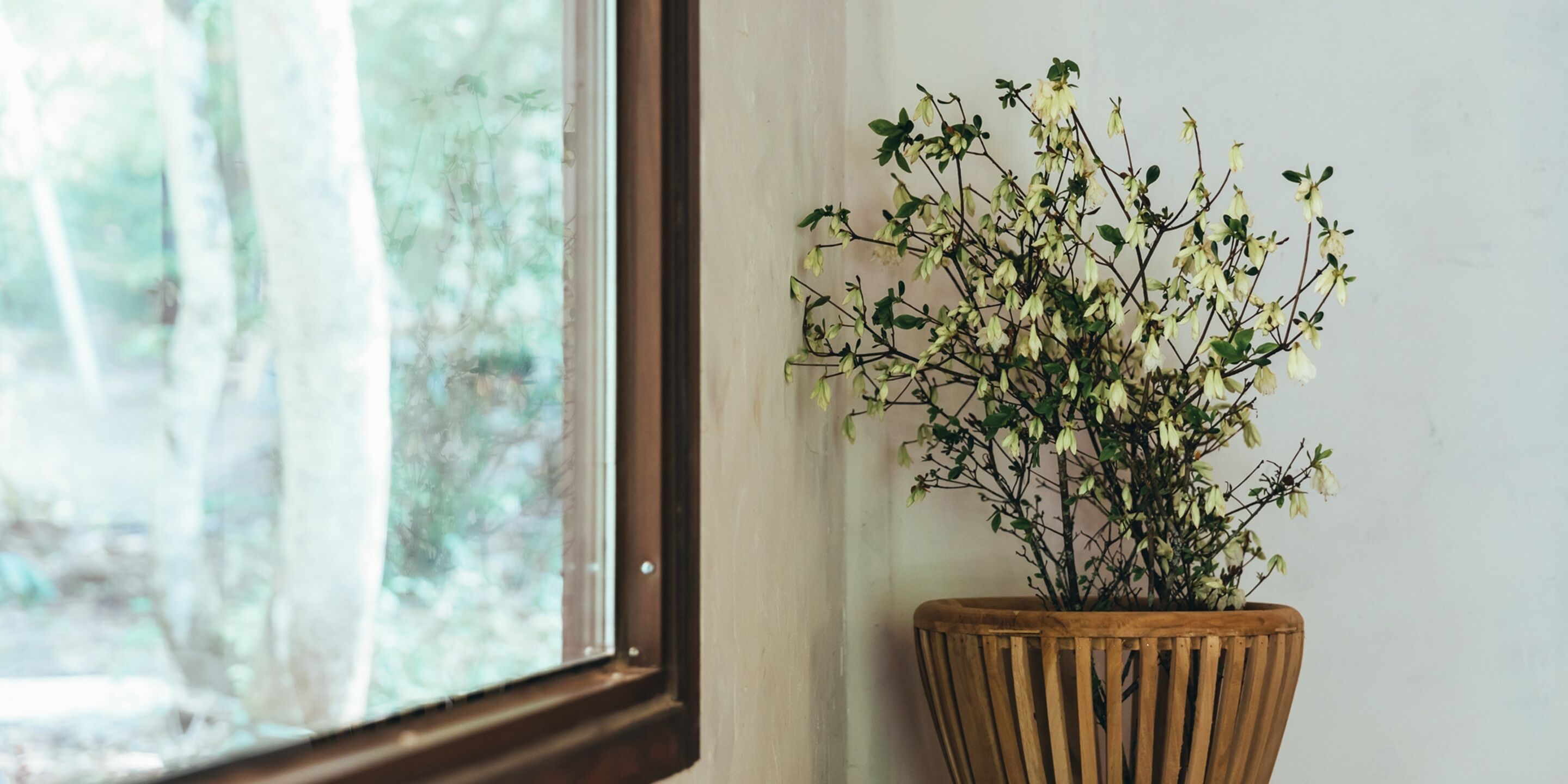 A wooden planter with a plant on a windowsill.